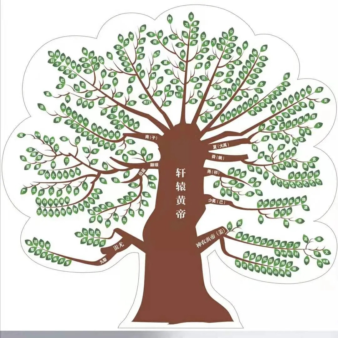 1627463462697342.jpg 2.webp.jpg